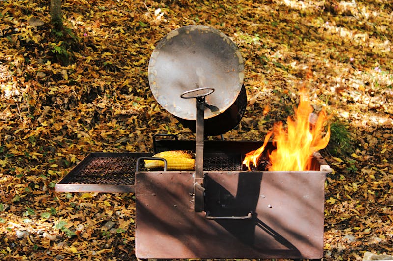 Lucy Sunshine vegan pizza with white garlic sauce and roasted veggies
